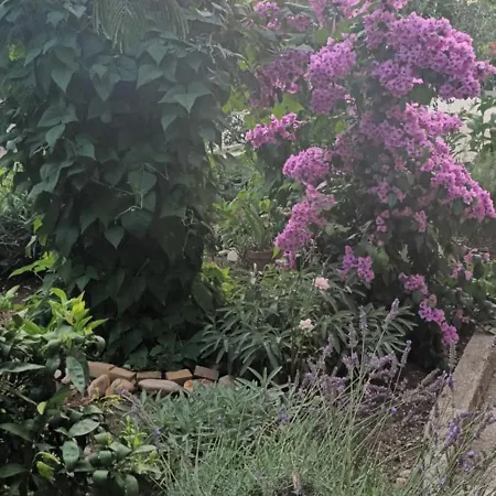 Anna Biograd Na Moru Exterior photo